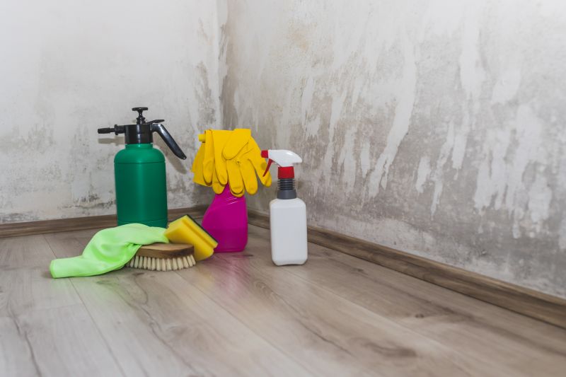 Air Duct Mold Removal in Jupiter, FL