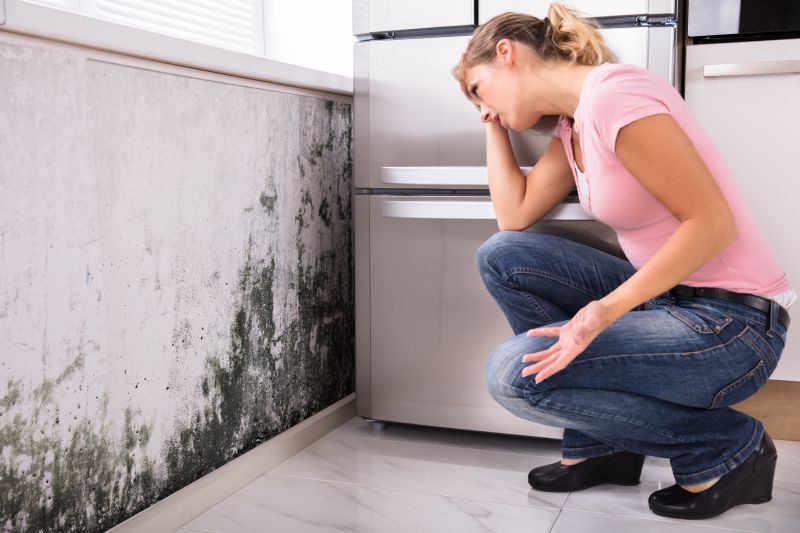 Black Mold Removal in Boynton Beach, FL