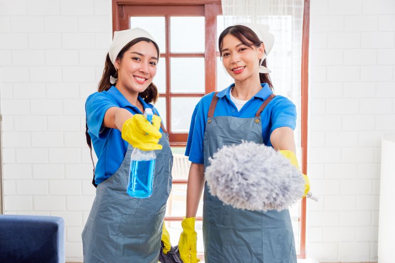 Cleaners And Maids