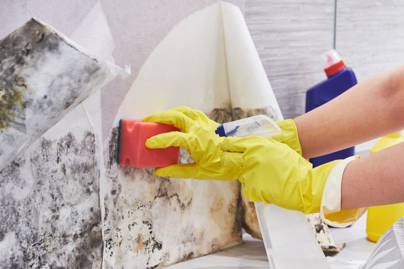 Crawl Space Mold Removal in Bergen County, NJ