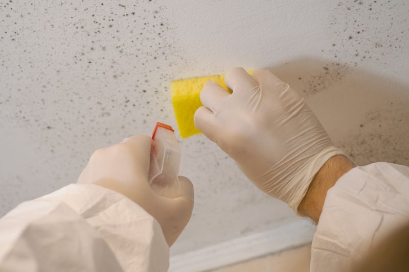 Crawlspace Mold Remediation in Dallas, TX