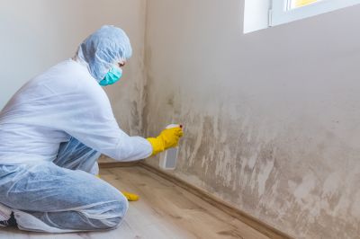 Garage Mold Remediation in Broward County, FL