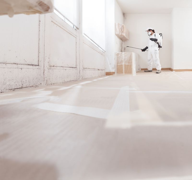 Garage Mold Remediation in Broward County, FL