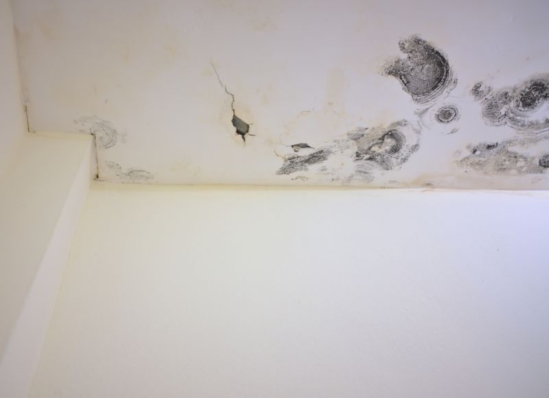Garage Mold Remediation in Bergen County, NJ