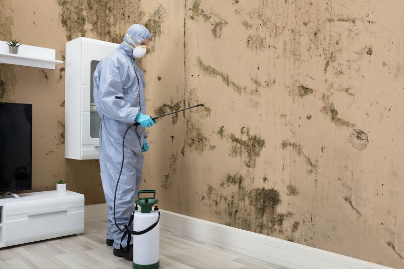 Mold Abatement in Bergen County, NJ
