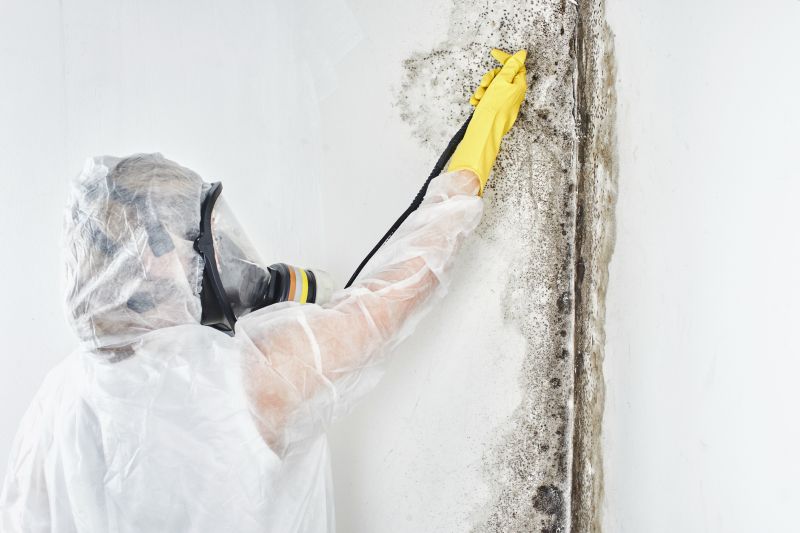 Mold Abatement in Fort Worth, TX