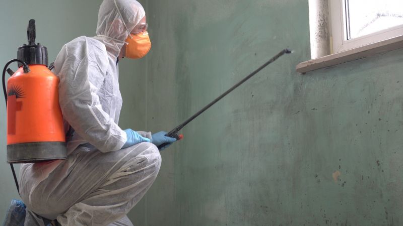Mold Abatement in Denton, TX