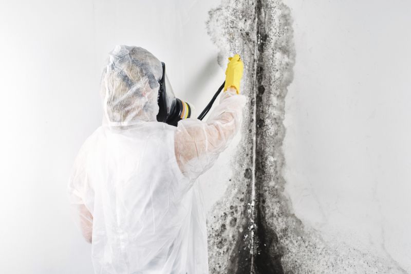 Mold Abatement Service in Jupiter, FL