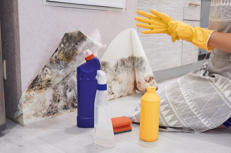 Mold Abatement Service in Jupiter, FL