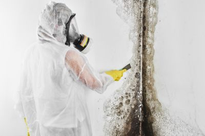 Mold Inspection And Removal in Fort Lauderdale, FL