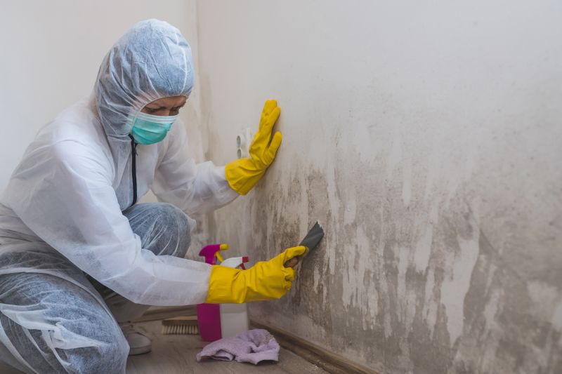 Mold Mitigation Service in Frisco, TX