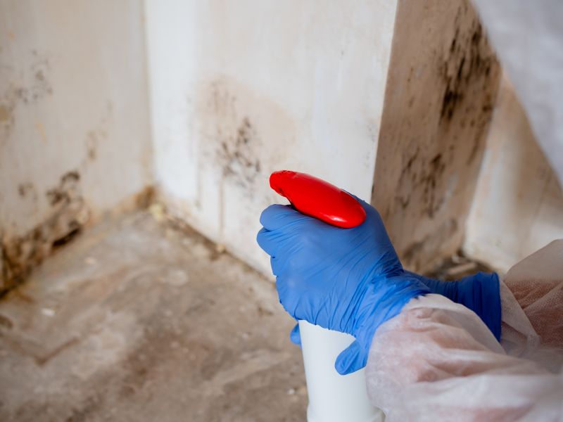 Mold Mitigation Service in Fort Worth, TX