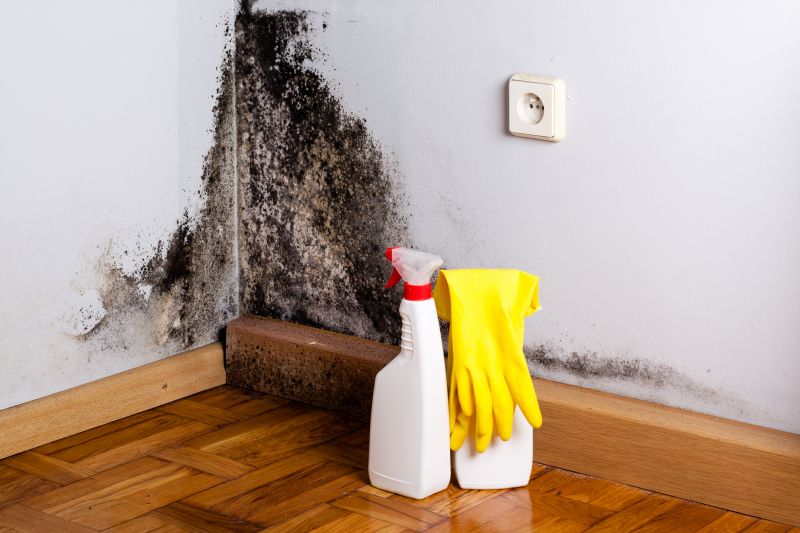 Mold Mitigation Service in Dallas, TX