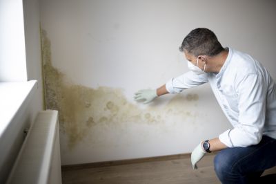Mold Remediation Service in Frisco, TX
