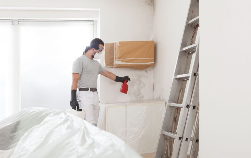 Mold Remediation Service in Bergen County, NJ