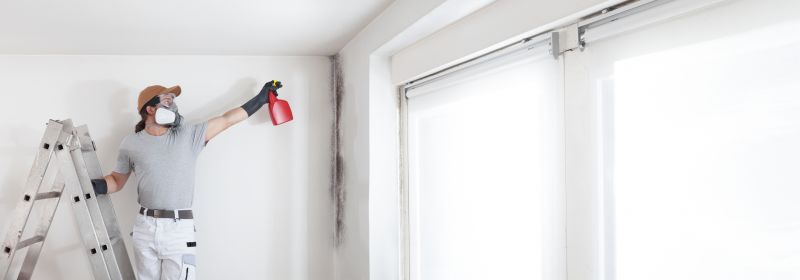 Mold Restoration in Fort Lauderdale, FL