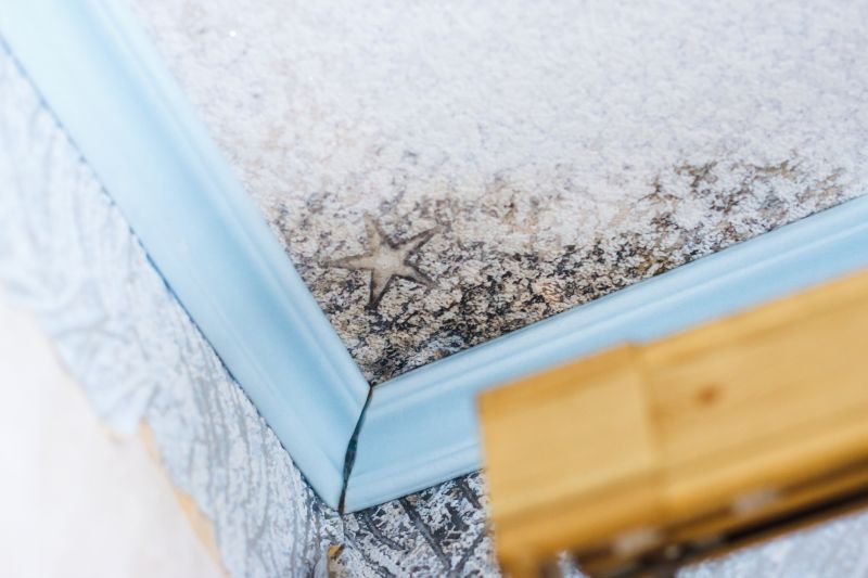 Mold Restoration in Frisco, TX