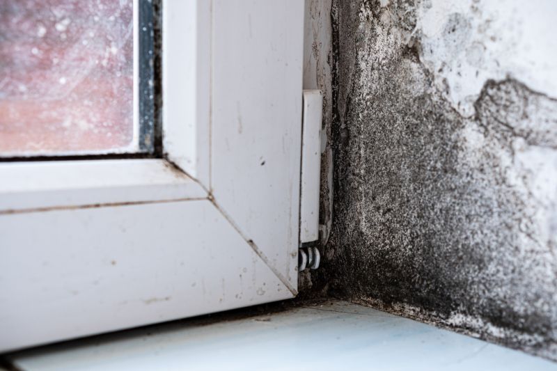 Mold Restoration in West Palm Beach, FL