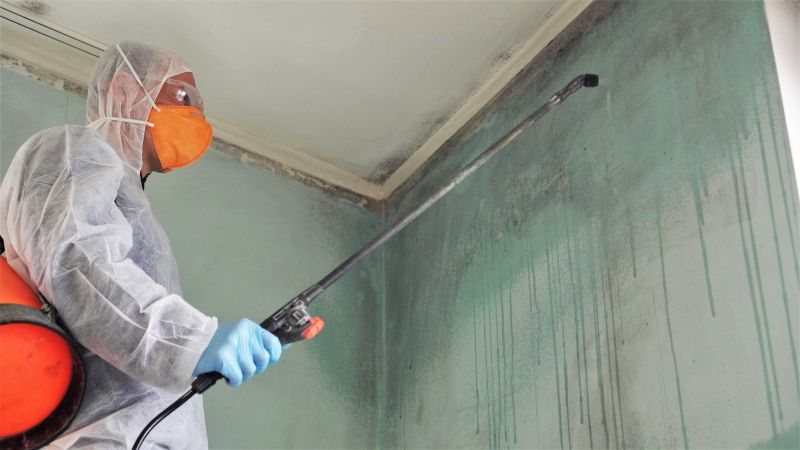Garage Mold Remediation in Jupiter, FL