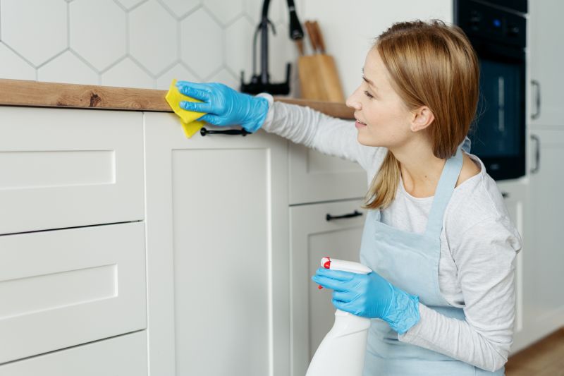 Kitchen Cleaning Service in Conroe, TX